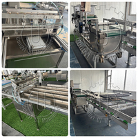 Machine automatique de remplissage de plateaux de semis, semoir commercial pour légumes et fleurs, ligne de plantation pour pépinière