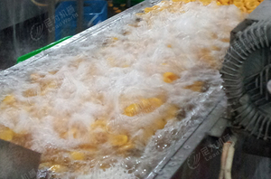 Leadworld – bulle automatique de haute qualité, 800kg, équipement de lavage de fruits <span class=keywords><strong>et</strong></span> légumes, abricot, ligne de Machine de nettoyage - Product Image 3