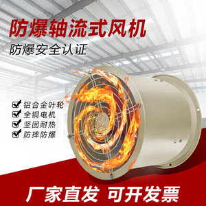 Ventilador Axial a Prueba de Explosiones de 12 Pulgadas con Aspas de Aleación de Aluminio, 2900 rpm, Ventilador de Conducto con Rodamiento de Bolas CBF-300/400/500 - Product Image 4