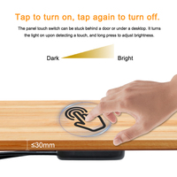 Interrupteur Tactile Dissimulé DC12V/24V 5A avec Capteur de Variation de Luminosité pour Montage dans le Bois, le Verre, l'Acrylique – Idéal pour Éclairage LED d'Armoires et de Placards (Vente en Gros)