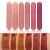 Teinte à lèvres mate veloutée la plus vendue, colorant à lèvres populaire, gloss liquide en gros sous marque privée