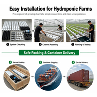 Système de canaux NFT multi-niveaux en PVC de qualité industrielle pour système hydroponique vertical de légumes-feuilles en serre