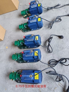 WCB-30-50-75 Trọng lượng nhẹ thép không gỉ di động động cơ <span class=keywords><strong>diesel</strong></span> bơm dầu tùy chỉnh OEM bôi trơn bơm bánh răng Tính năng giao hàng - Product Image 3