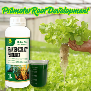 <span class=keywords><strong>Engrais</strong></span> liquide concentré d'algues biologiques, stimulant de croissance racinaire, accélère la force des semis et favorise une croissance uniforme pour les serres - Product Image 4