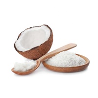 Broyeur de noix de coco humide et sec, broyeur de viande de noix de coco, broyeur de noix de coco, petit broyeur de noix de coco