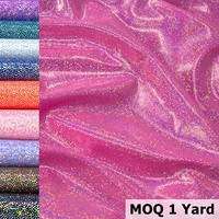 Tissu Spandex Scintillant à Points Holographiques, Faible MOQ, Extensible dans les 4 Sens, Séchage Rapide, Haute Résistance des Couleurs, Idéal pour Justaucorps, Lingerie et Maillots de Bain