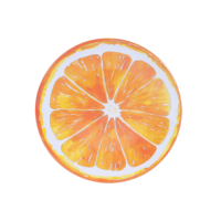 Melamine bord met citroenschijfjesdesign voor café, dessertzaak, strandvakantie, zwembad, informele voedselservice.