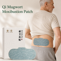 Patch de Moxibustion Qi Ai Classe I – Compresse Chaude Auto-chauffante pour le Corps – Soulagement des Douleurs Musculaires et Articulaires – Certifié CE – Usine OEM