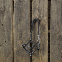 Nouveaux produits équestres ensemble de licous de cheval classiques licous de cheval en cuir de buffle personnalisés équipement équestre réglable