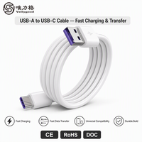 Produsen kompatibel Super cepat 5A pengisian TYPE-C kabel Flash panjang 2M untuk Apple USB telepon kepang Earphone grosir