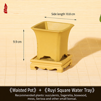Pot de fleurs en résine pour jardin, style chinois minimaliste, avec plusieurs trous de drainage, pour orchidée de la baie rouge à feuilles fines