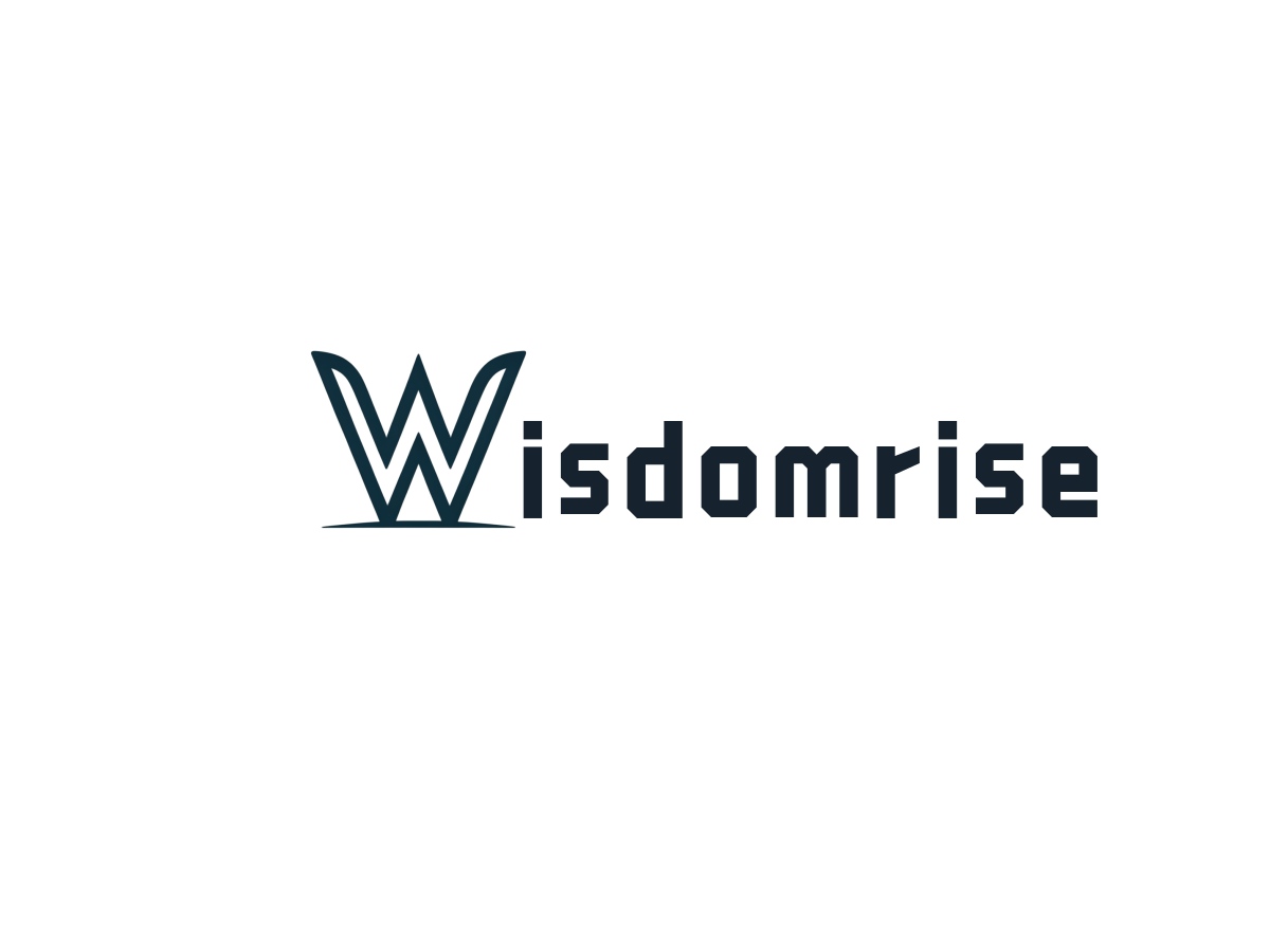 Yangjiang Wisdomrise Economic & Trade Co., Ltd. logo