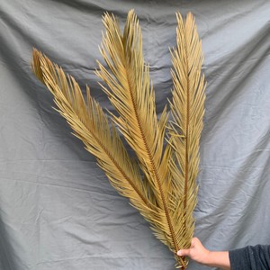 KEWEI T483 Hojas Secas de <span class=keywords><strong>Cycas</strong></span> y Palma Más Vendidas, Planta Natural de 80 cm, Decoración Boho para Bodas, Navidad y Pascua - Product Image 1