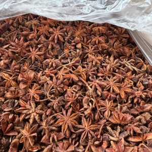 Hochwertiger Getrockneter Roher Ganzer Sternanis aus China Export - Product Image 4