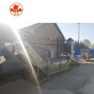 Pelador de patas de pollo de nuevo diseño, cortador de pies, equipo de eliminación de piel, máquina peladora de pies de pollo, precio - Product Image 3