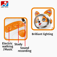 Intelligentes Schwingendes Hundespielzeug für Kinder mit Aufnahmefunktion, Musik und Lichtern für Alter 5-7, aus Kunststoff für Babyspielzeug