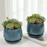 Pot à succulentes en céramique écologique classique, petits pots de jardinage pour la maison, pots de plantes personnalisés