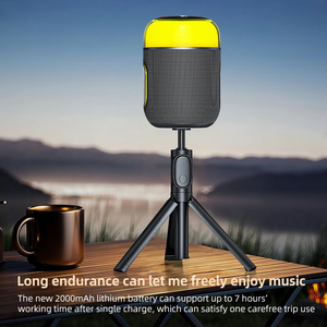 Popular portátil profesional al aire libre 12W BT altavoz con fantásticas luces <span class=keywords><strong>de</strong></span> colores altavoz compatible con TWS - Product Image 4