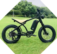 Populaire Nouvelle Production Vélo Gros Pneu Électrique Rétro Vélo/Enduro Gros Pneu Vintage Ebike