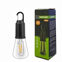 2023 nouveau Offre Spéciale étanche tungstène Led Camping en plein air ampoule lumière Portable suspendu TYPE-C Rechargeable tente ampoule lanterne