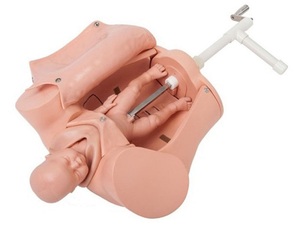 Modèle de simulation de naissance avancé portable pour l'entraînement médical et l'enseignement de la naissance - Product Image 2
