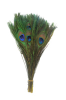 Plumes de paon à œil enfilé naturel à vendre fête carnaval maison mariage pièce maîtresse noël Vase vacances décor bricolage artisanat Floral