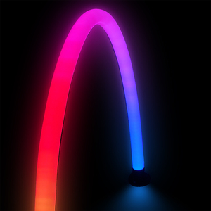 Bande LED numérique 360 degrés RGBic <span class=keywords><strong>Neon</strong></span> flexible adressable étanche 12V/24V Dream Color RGB LED <span class=keywords><strong>Neon</strong></span> - Product Image 1