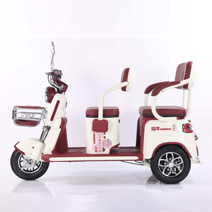 Transport 1000W <span class=keywords><strong>roue</strong></span> spéciale 3 roues adultes tricycles électriques vélo motorisé scooters de mobilité pour l'utilisation de la cargaison - Product Image 2