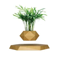 Maceta flotante artificial para plantas, taza de bonsái de levitación magnética, regalos personalizados, enamórate de los regalos decorativos minimalistas