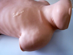Maniquí de entrenamiento de paracentesis, simulador de Anatomía de punción de médula ósea, modelo de enseñanza de paciente de Torso médico - Product Image 4