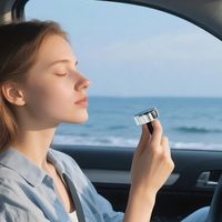 Diffuseur de parfum pour voiture haut de gamme, parfum pour voiture pour éliminer les odeurs et désodoriser avec diffusion de parfum réglable