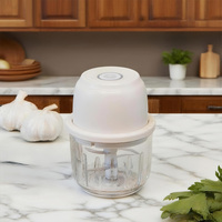 Prensa de Ajo Multifuncional Personalizable, Ecológica y Segura, Cortador de Alimentos Eléctrico de Vidrio, Picador de Verduras Manual