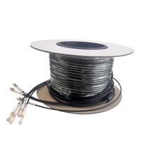 50m 4 Core OM3 Multimode LC UPC To LC UPC Armored Fiber Patch Cable LSZH OD5.0mm 50/125μm 10Gb Câble Fibre Optique Data Center