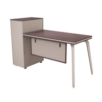 Bureau moderne Bureau d'ordinateur Table avec rangement Grain de bois Pieds en métal Bureau exécutif pour poste de travail d'étude