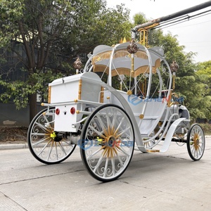 Chariot de princesse Cendrillon en acier, couleur personnalisée, électrique, de luxe, pour mariage et décoration extérieure - Product Image 3