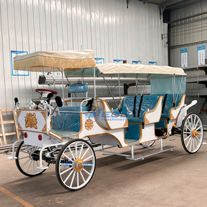 Produttori di prezzi all'ingrosso carrozza turistica reale turismo turismo carrello elettrico trasporto speciale per la vendita - Product Image 6