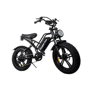750W Cheap Electric Bike 20" Electric Bike Bicycle for Adults Delivery Work on Promotion