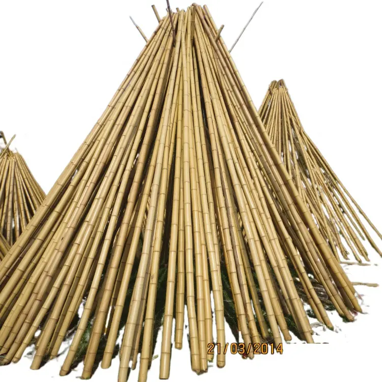 Large Bamboo Poles Raw Bamboo Materials Bamboo Poles for Construction Use