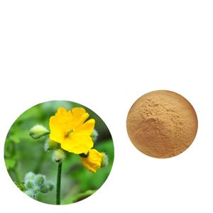 Экстракт чистотела, экстракт чистотела, экстракт герба хелидони, экстракт ласточки, премиум травяной источник - Product Image 1