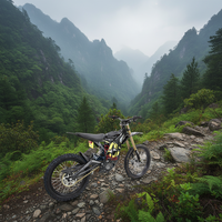 Vélo de montagne électrique à suspension intégrale Storm Bee Sur Ron Light Bay X 2025 Surround Light Bee X 8000w