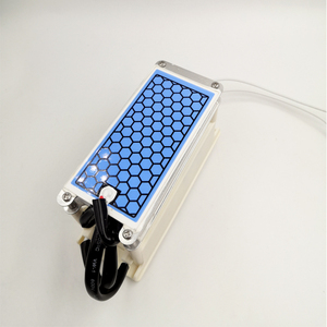 Máy Tạo Ozone 10 Gam/giờ Blue Film Long Life Tấm Ozonizer Máy Lọc Không Khí Loại Bỏ Formaldehyde Máy Ozone 220V - Product Image 5