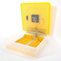 Incubateur à œufs 48 œufs Contrôle automatique de la température Incubateur automatique avec LED intégré Retourneur automatique