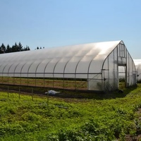 Serre Agricole Sinok Complète avec Système d'Irrigation, Tunnel Haut pour Légumes, Film PE, pour Tomates