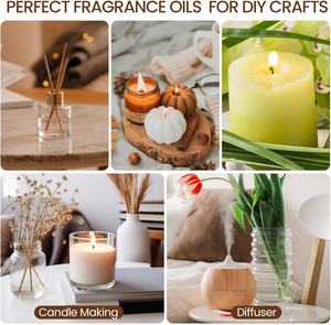 Ensemble d'huiles parfumées boisées pour la fabrication de bougies, diffuseur, pin forestier, cuir, teck, bambou, bois de cèdre, aromathérapie, huile essentielle de bois - Product Image 4
