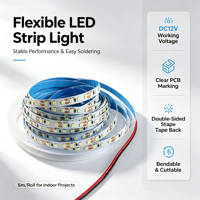 Bande LED flexible 12V 2835 120 LED CE RoHS pour extérieur et aménagement paysager – Vente en gros