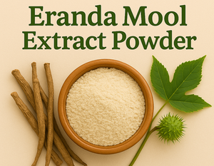 Castor <b>Root</b> Botanical <b>Spray</b> Dried Dry Extract Powder Premium Quality Manufacturer Supplier Exporter Bulk Wholesale - Product Image 3