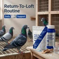 Poudre d'électrolytes avancée pour pigeons : réhydratation rapide après la course, récupération musculaire et soulagement du stress – Marque privée, usine OEM