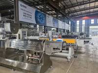 Extrudeuse industrielle à double vis, contrôlée par PLC, avec moteur et engrenages, pour la production d'aliments pour animaux de compagnie