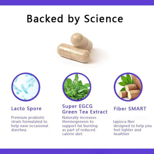Cápsulas Adelgazantes al por Mayor OEM ODM con Extracto de Hoja de Té Verde, Aptas para Hombres y Mujeres, Suplemento en Cápsulas para Pérdida de Peso y Quema de Grasa - Product Image 6