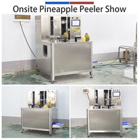 FXP-HT-II Automatische Fruit- en Groente-Aannemer en -ontpitter met pomp, SUS 304 roestvrij staal